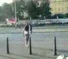 Los mejores gifs!!