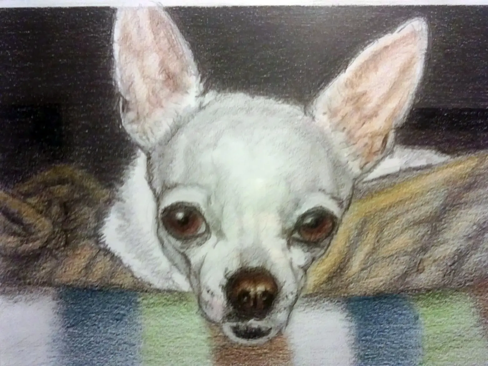 Princesa Chihuahua