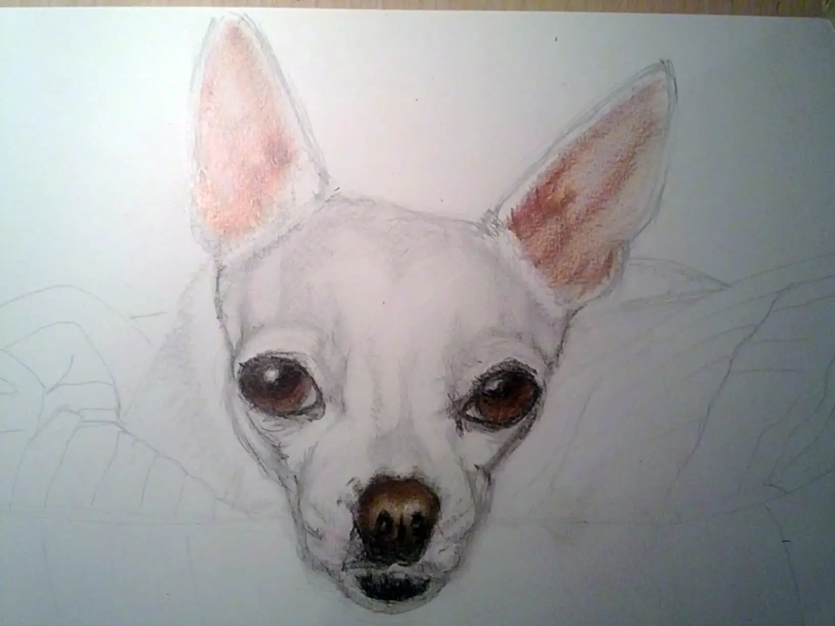 Princesa Chihuahua