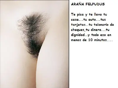 tipo