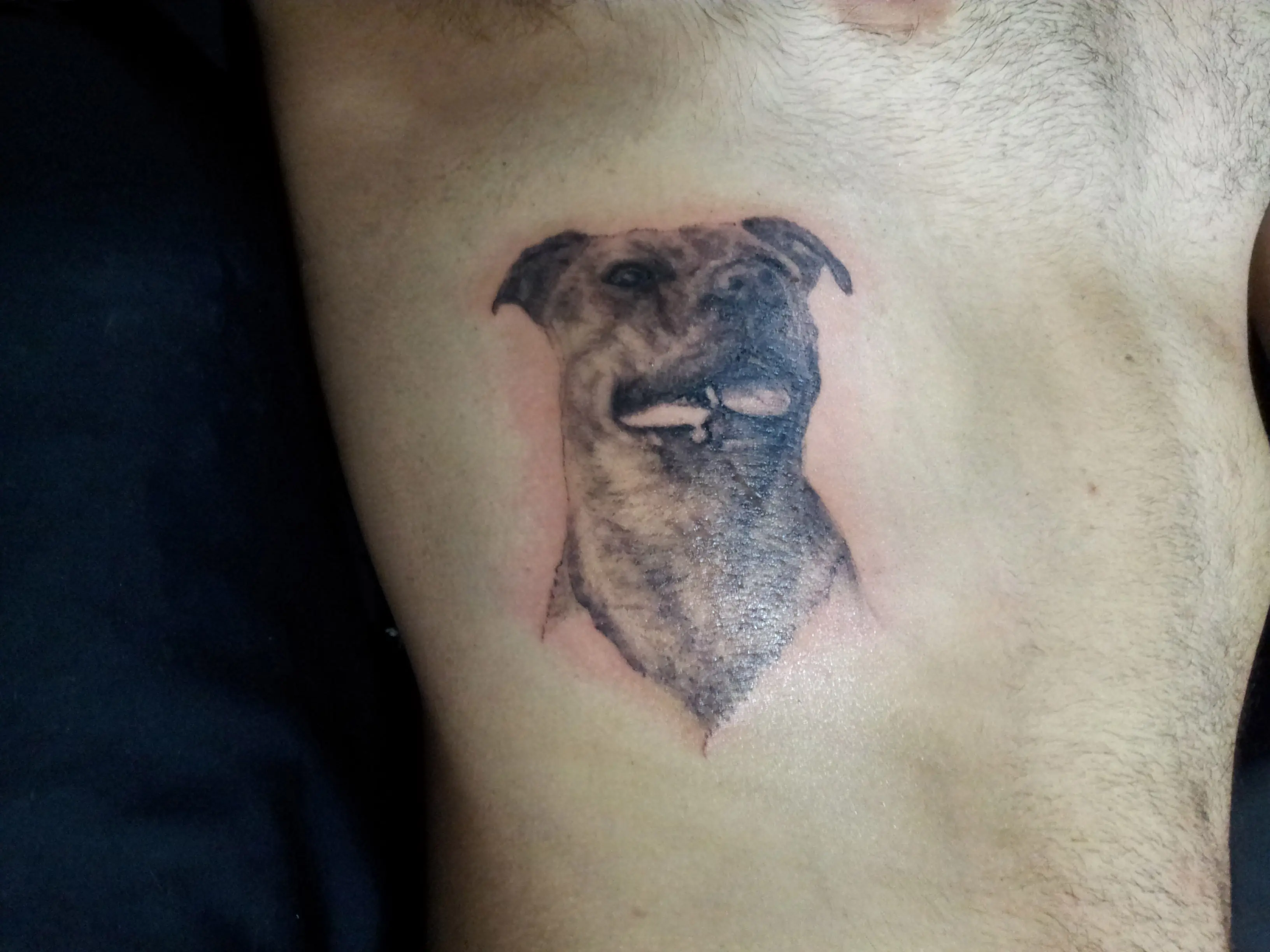 De hobby hago tatuajes... En esta ocasion un Pitbull.