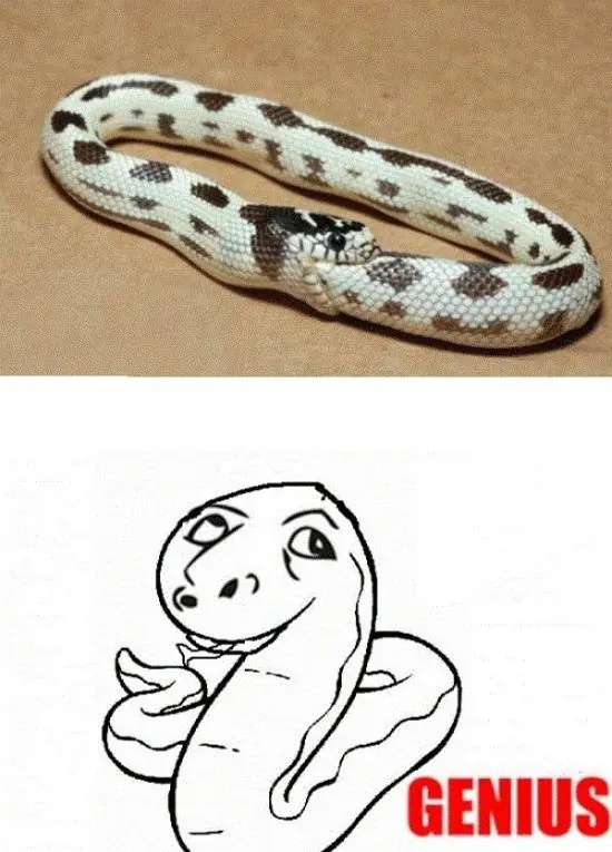 humor