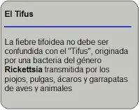 María Tifoidea (asesina pasiva)