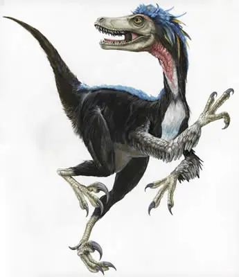 Dinosaurios