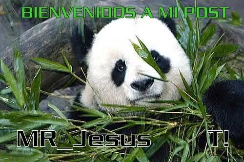 Caza Furtiva