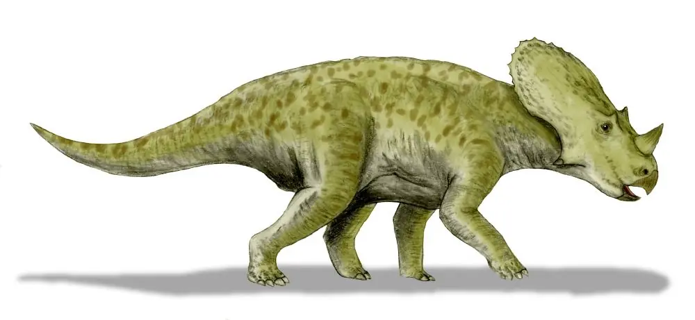 Dinosaurios (De la A a la Z)