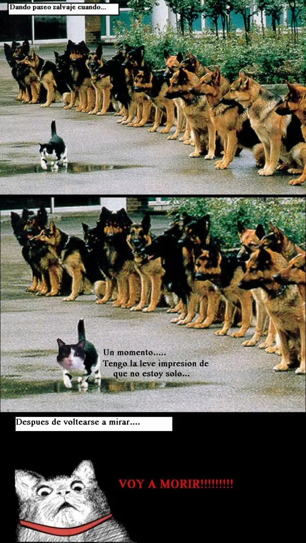 Chistes