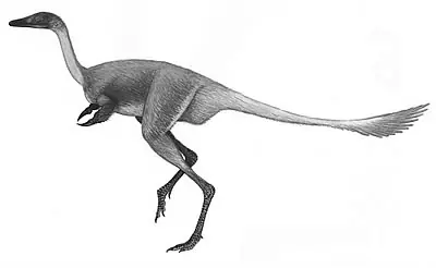 tiranosauiro