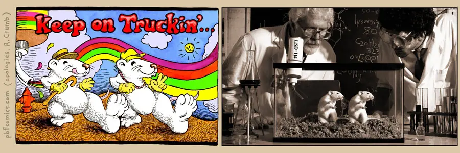 The Perry Bible Fellowship - (Nada nuevo)