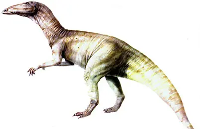 reptil