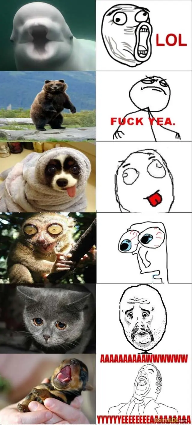 memes