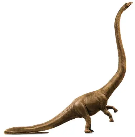 Dinosaurios