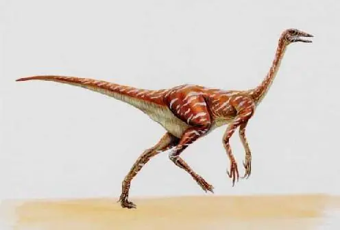 Dinosaurios