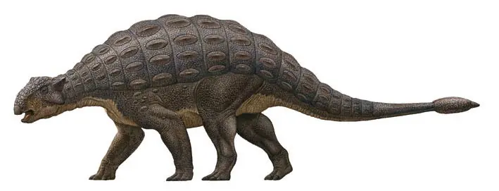 tiranosauiro