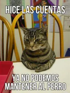 humor