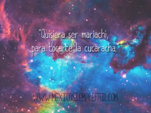 agnegada