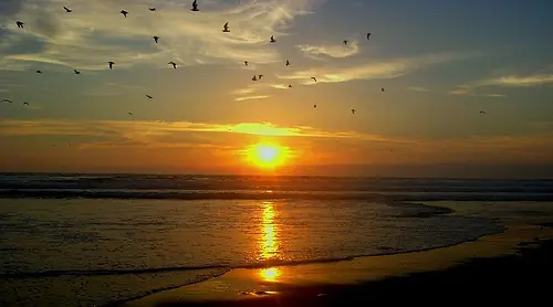 Como tomar sol - Tutorial