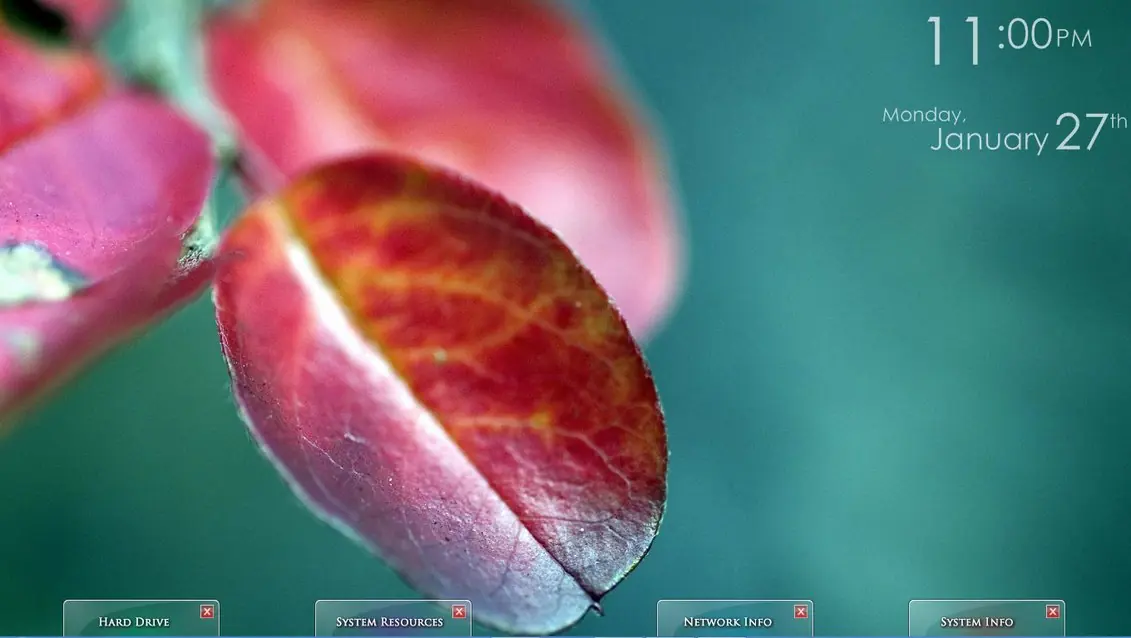 windows 8