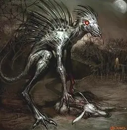 Momias