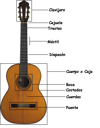 Aprender a Tocar Guitarra