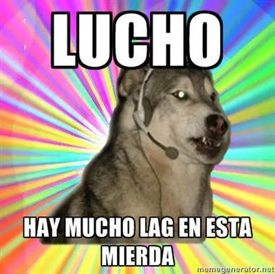 perro
