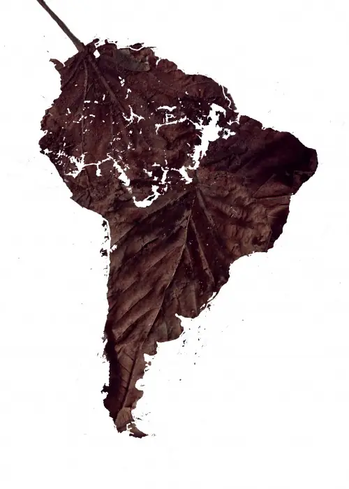 Publicidad wwf