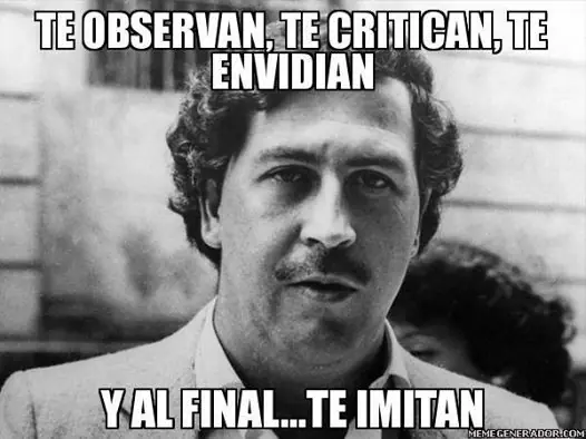 todo vien