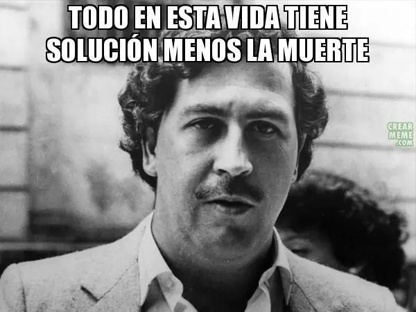 todo vien
