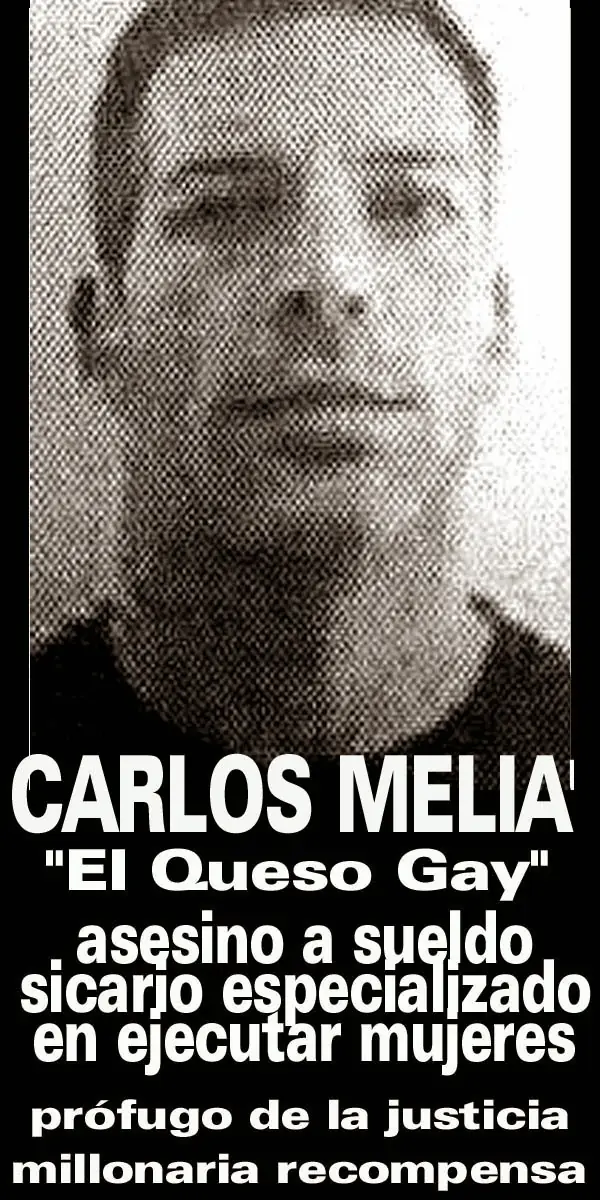 ¿Conocés al "Queso" Gay?