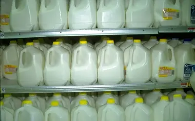 Mitos y realidades sobre los alimentos procesados