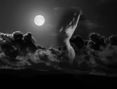 La dama noche (poema propio)