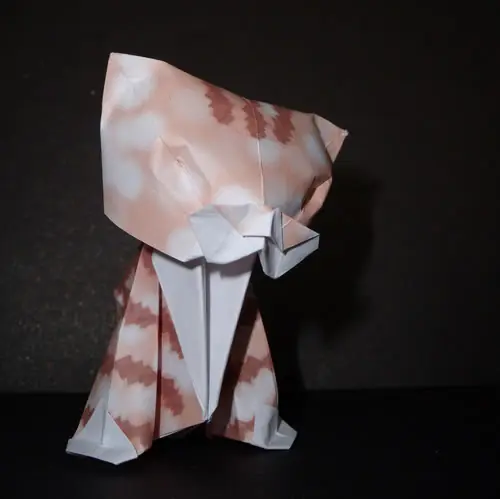 Origamis