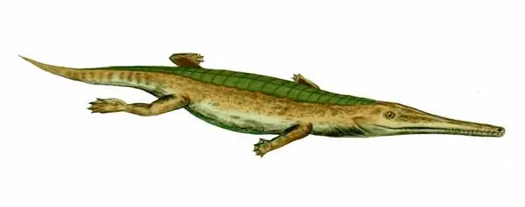 Mesozoico