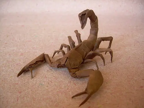 Origamis sorprendentes