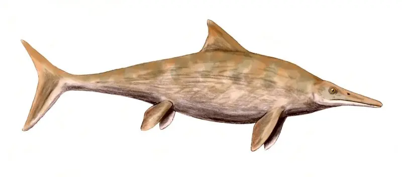 prehistorico