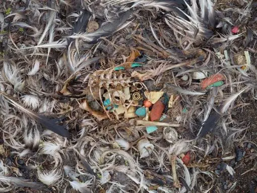 basura