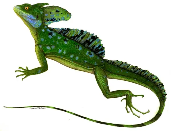 centauros
