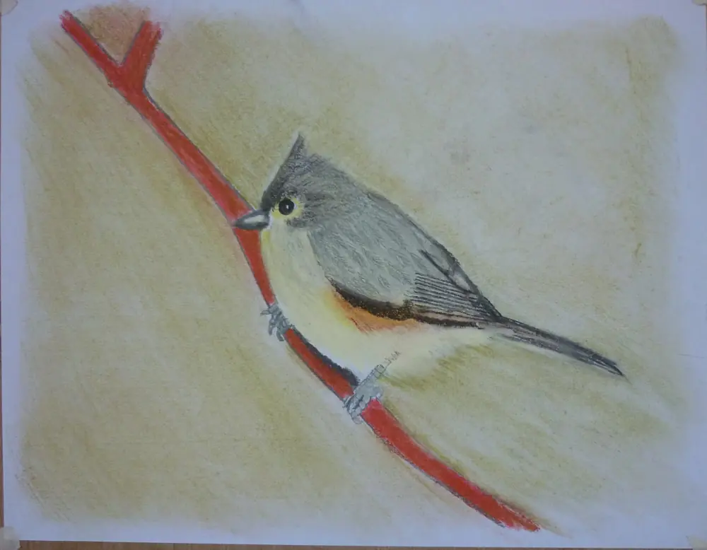 Dibujo