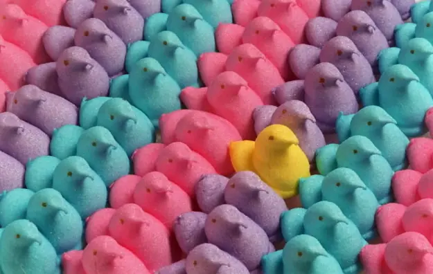 Tienes Transtorno Obsesivo Compulsivo? Sabelo con estas imag