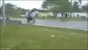 Gifs