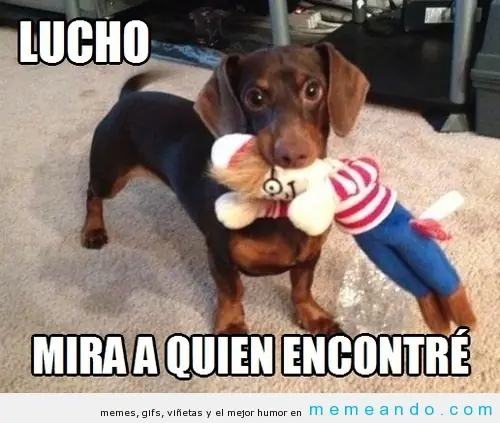 imagenes