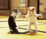 dance