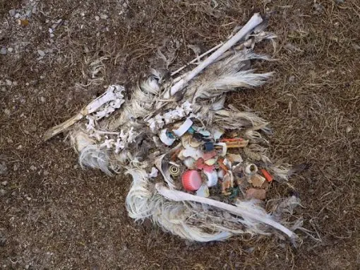 reciclar