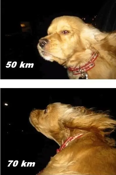 velocidad