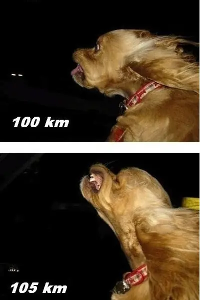 humor