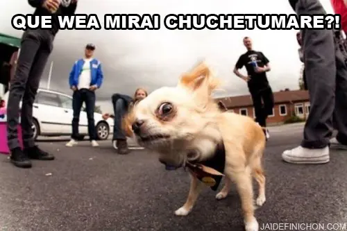 meme