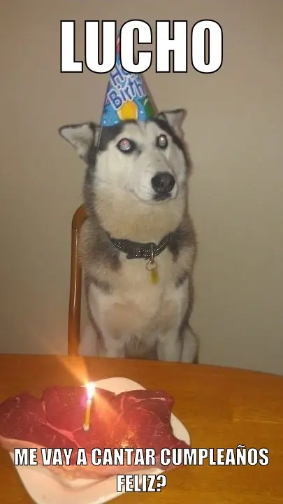 megapost de "luchooo!"