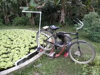 afiladora