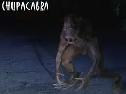 El chupacabras