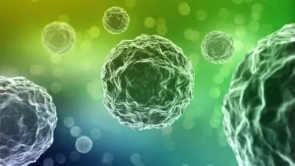 Replicado en una compu el ciclo de vida de una bacteria